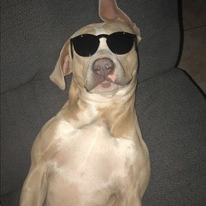 Meet your Posher, Corey